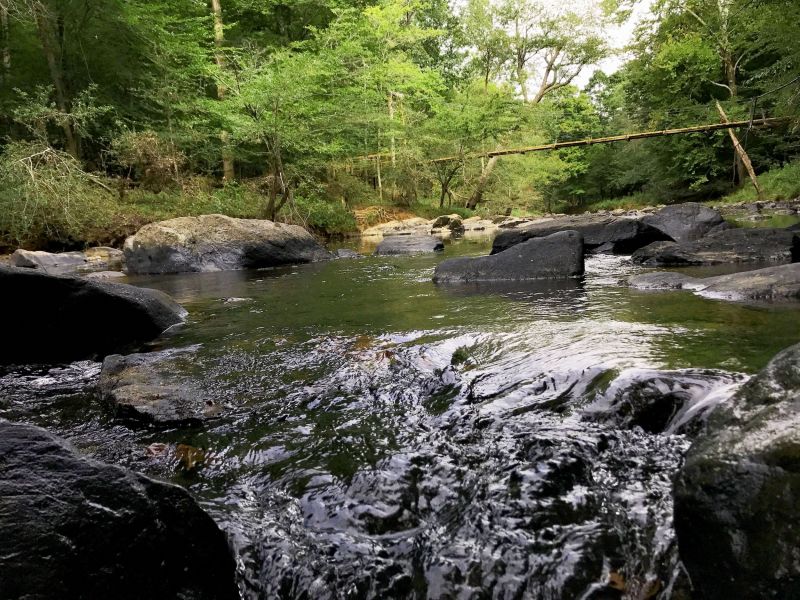 Perfect Picnic Spots in North Carolina State Parks & Natural Areas